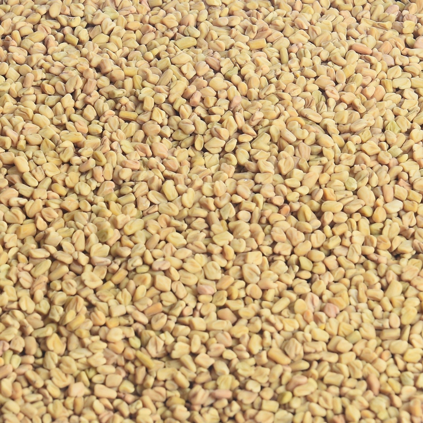 VENDHAYAM