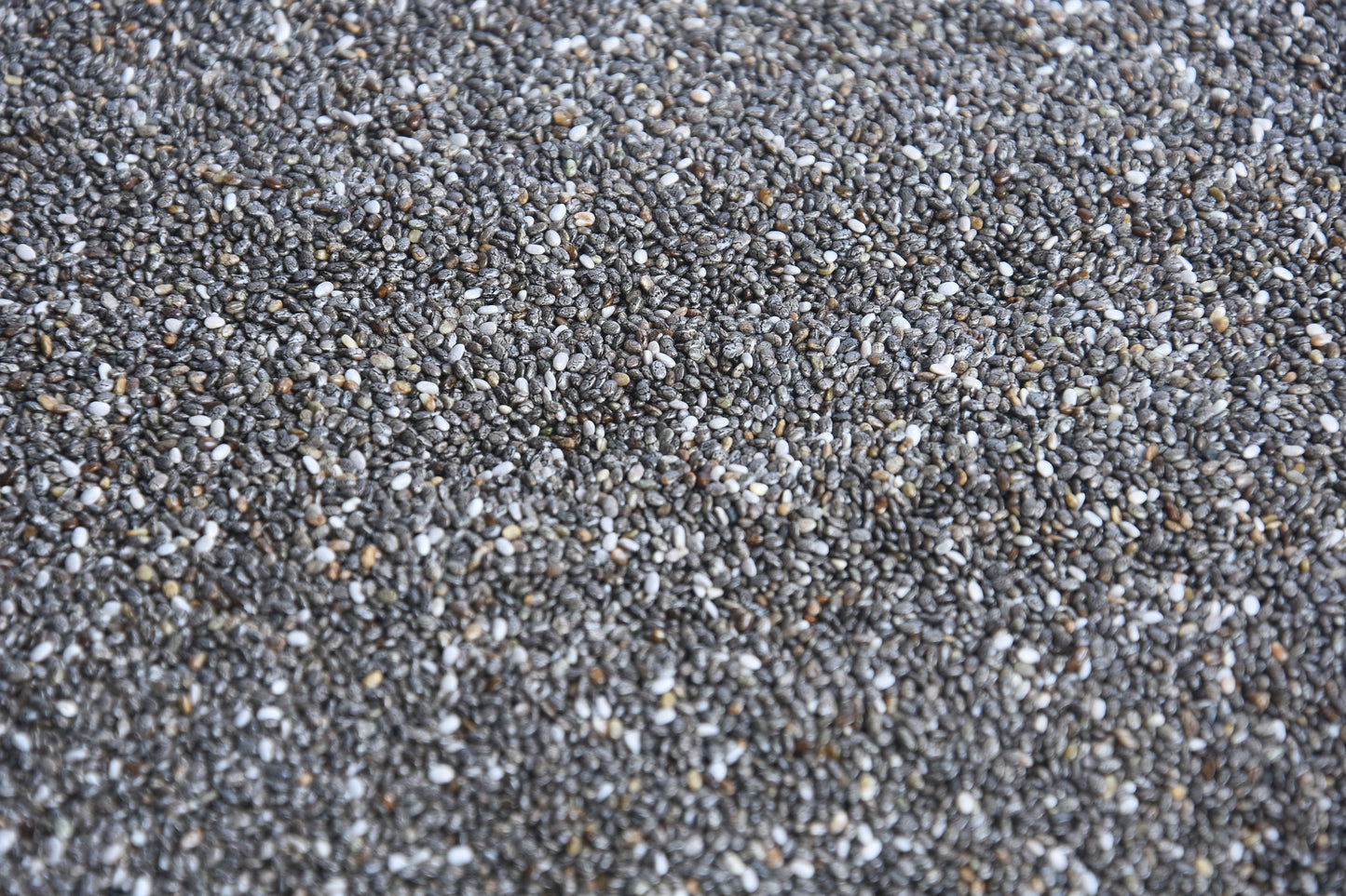 CHIA SEED