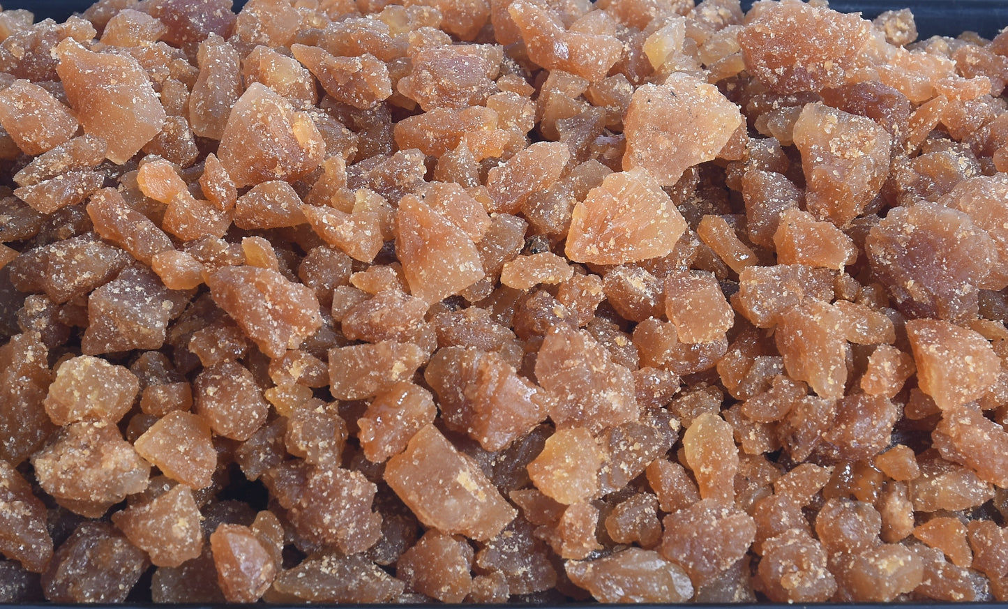 PALM CANDY BEST