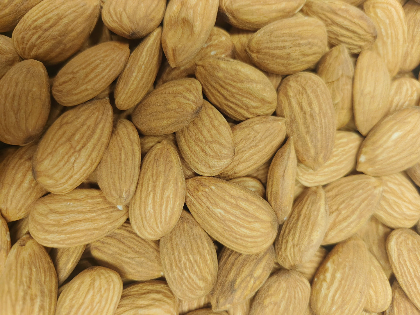 BADAM BOLD